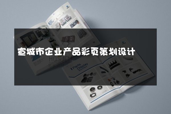 宣城市企业产品彩页策划设计