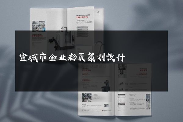 宣城市企业彩页策划设计