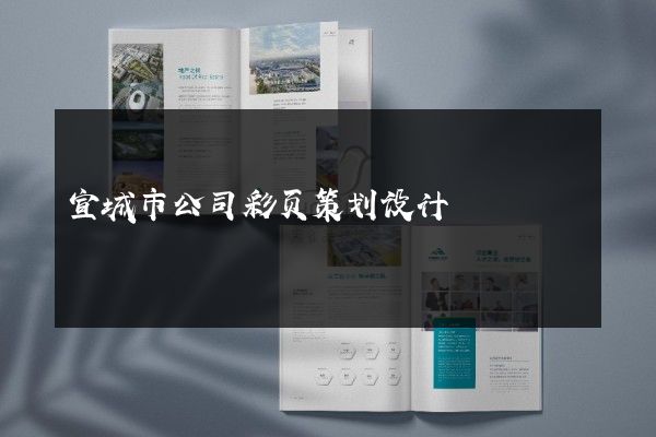 宣城市公司彩页策划设计