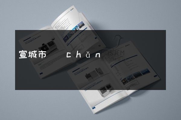 宣城市產(chǎn)品宣傳彩頁(yè)設(shè)計(jì)制作