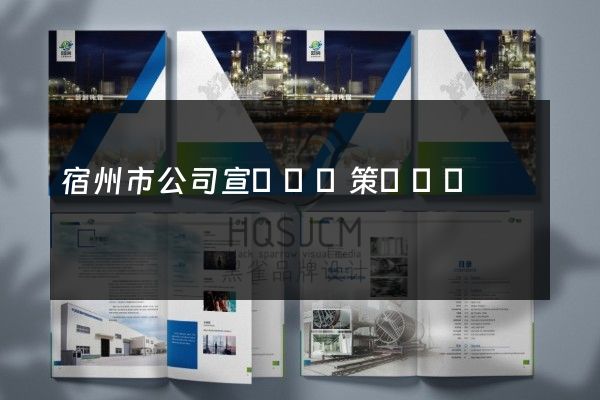 宿州市公司宣傳畫冊策劃設計