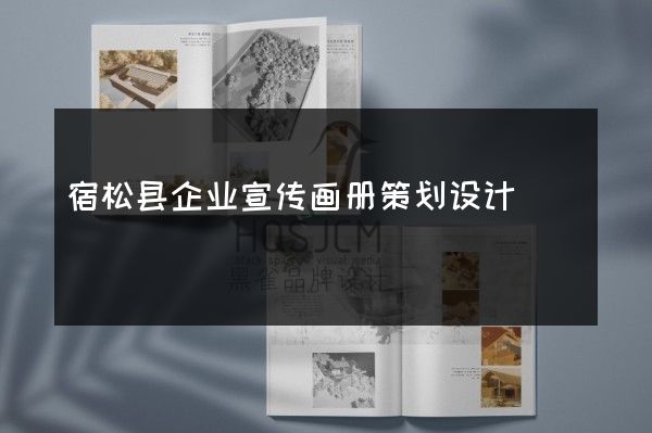 宿松县企业宣传画册策划设计