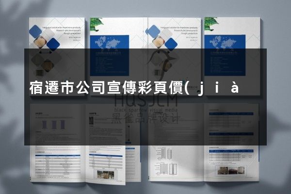 宿遷市公司宣傳彩頁價(jià)格多少錢