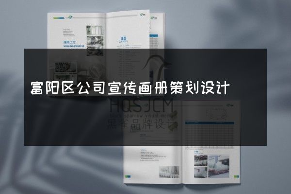富阳区公司宣传画册策划设计