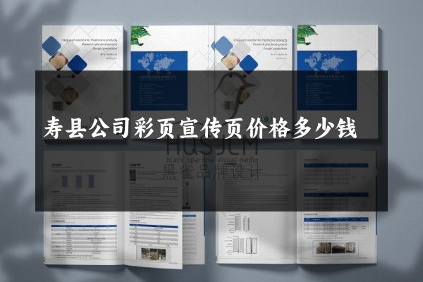 寿县公司彩页宣传页价格多少钱
