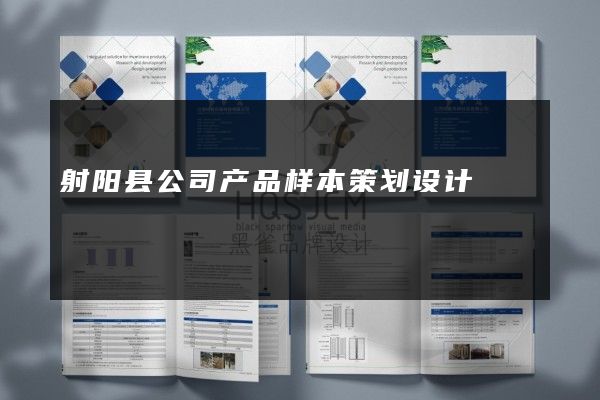 射阳县公司产品样本策划设计