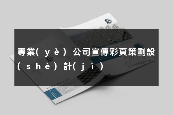 專業(yè)公司宣傳彩頁策劃設(shè)計(jì)