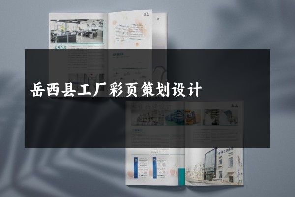岳西县工厂彩页策划设计