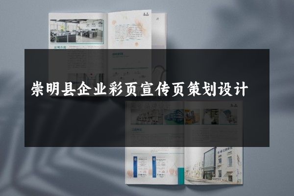 崇明县企业彩页宣传页策划设计