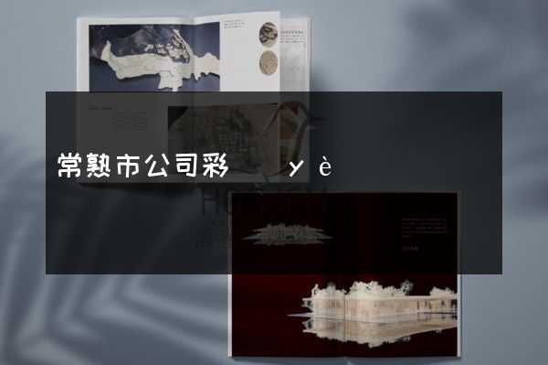 常熟市公司彩頁(yè)折頁(yè)價(jià)格多少錢(qián)