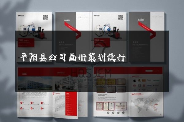 平阳县公司画册策划设计