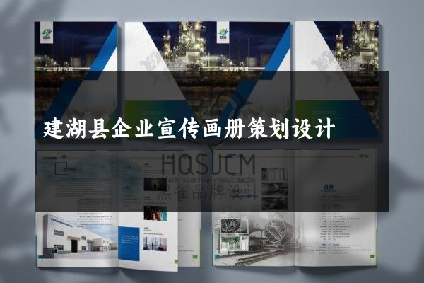 建湖县企业宣传画册策划设计