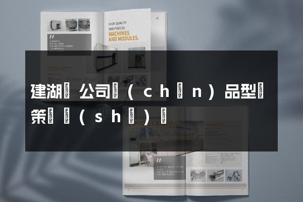 建湖縣公司產(chǎn)品型錄策劃設(shè)計