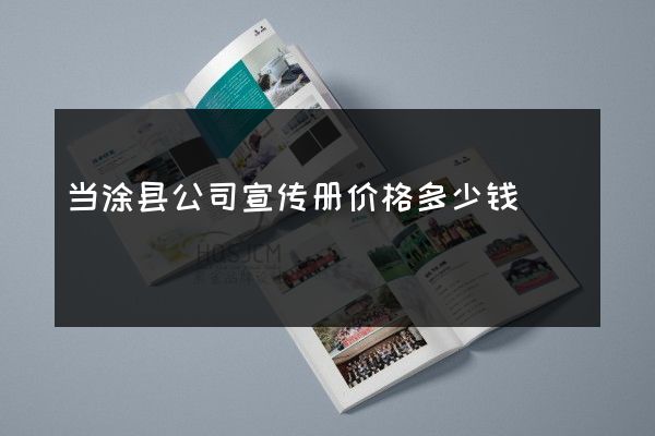 当涂县公司宣传册价格多少钱
