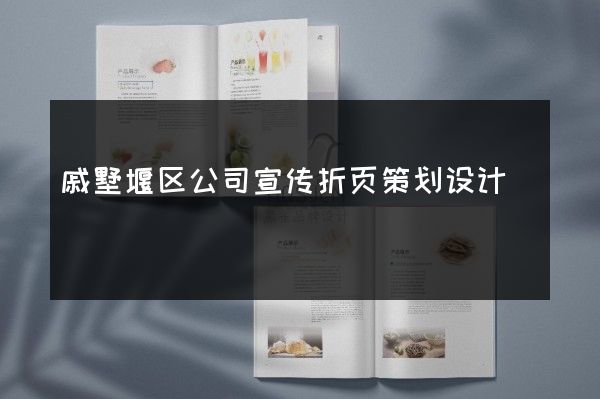 戚墅堰区公司宣传折页策划设计