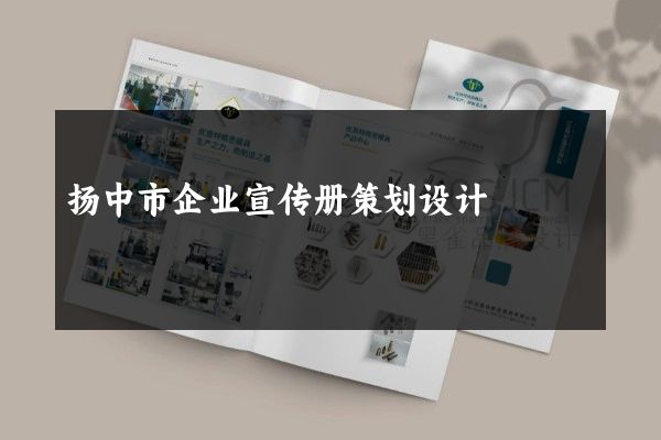 扬中市企业宣传册策划设计
