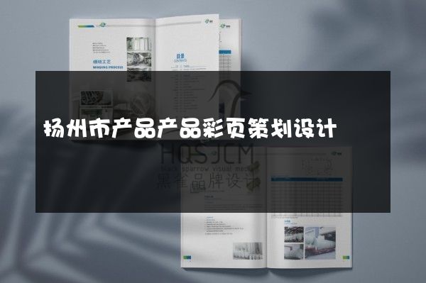 扬州市产品产品彩页策划设计