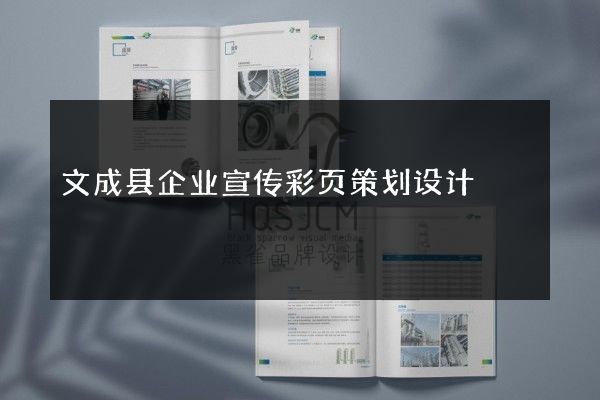 文成县企业宣传彩页策划设计