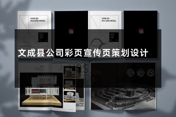 文成县公司彩页宣传页策划设计