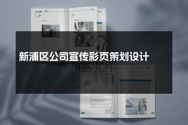 新浦区公司宣传彩页策划设计