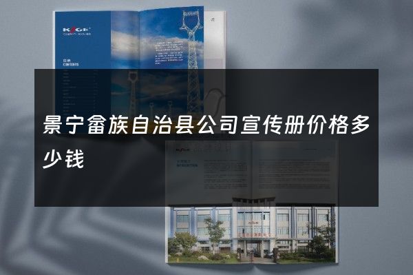景宁畲族自治县公司宣传册价格多少钱