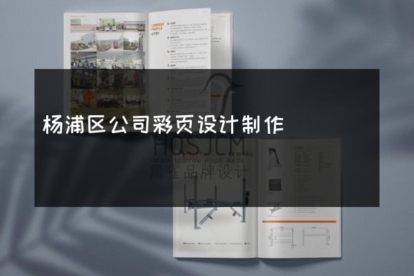 杨浦区公司彩页设计制作