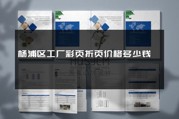 杨浦区工厂彩页折页价格多少钱