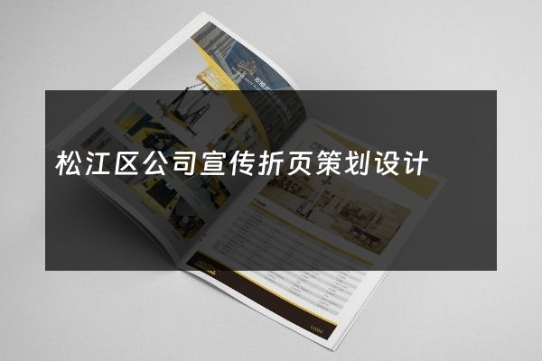 松江区公司宣传折页策划设计