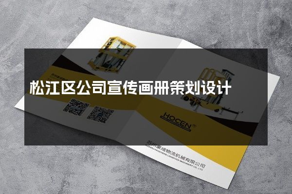松江区公司宣传画册策划设计