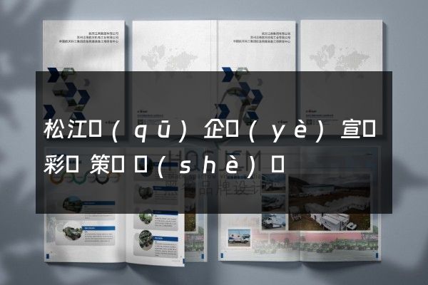 松江區(qū)企業(yè)宣傳彩頁策劃設(shè)計