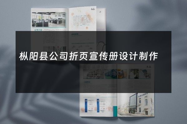 枞阳县公司折页宣传册设计制作