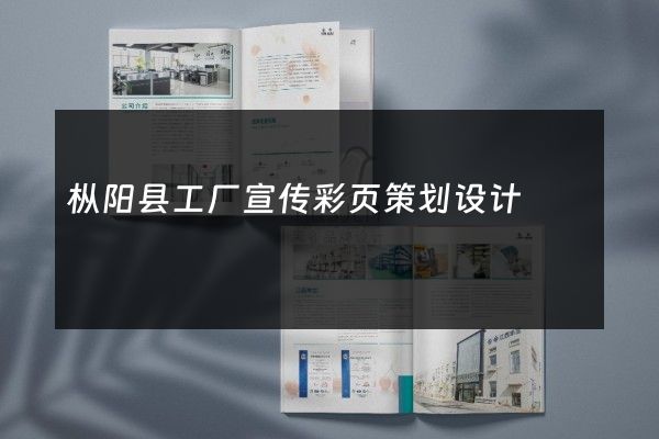 枞阳县工厂宣传彩页策划设计