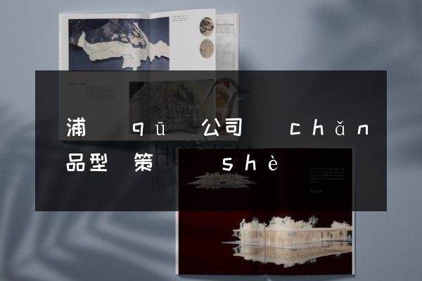 楊浦區(qū)公司產(chǎn)品型錄策劃設(shè)計