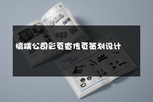 槁端公司彩页宣传页策划设计