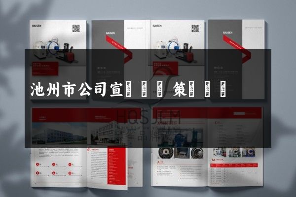 池州市公司宣傳畫冊策劃設計