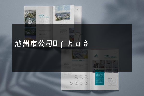 池州市公司畫(huà)冊(cè)價(jià)格多少錢(qián)