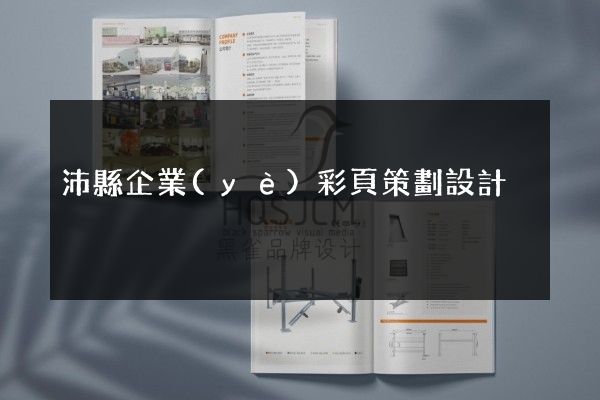 沛縣企業(yè)彩頁策劃設計