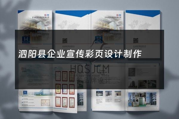 泗阳县企业宣传彩页设计制作