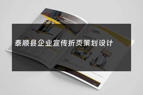 泰顺县企业宣传折页策划设计