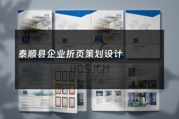泰顺县企业折页策划设计