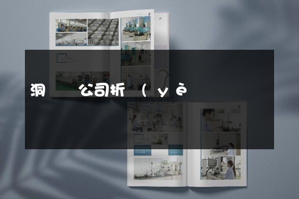 洞頭縣公司折頁(yè)宣傳冊(cè)設(shè)計(jì)制作