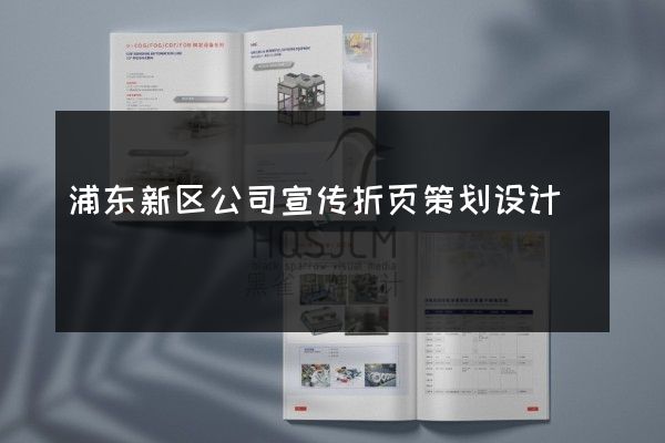 浦东新区公司宣传折页策划设计