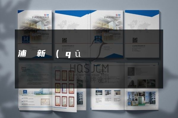浦東新區(qū)企業(yè)宣傳彩頁(yè)價(jià)格多少錢