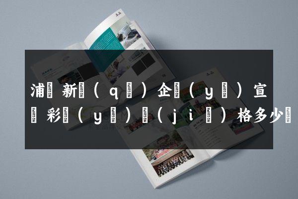 浦東新區(qū)企業(yè)宣傳彩頁(yè)價(jià)格多少錢