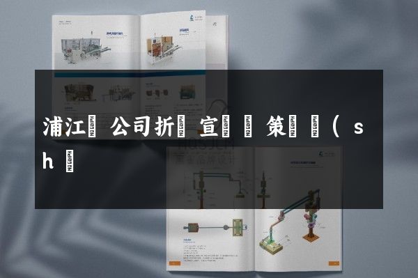 浦江縣公司折頁宣傳冊策劃設(shè)計