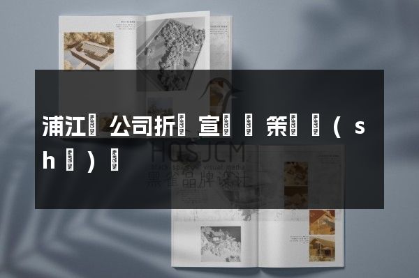 浦江縣公司折頁宣傳冊策劃設(shè)計