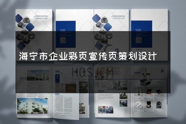 海宁市企业彩页宣传页策划设计