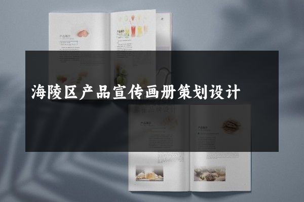 海陵区产品宣传画册策划设计