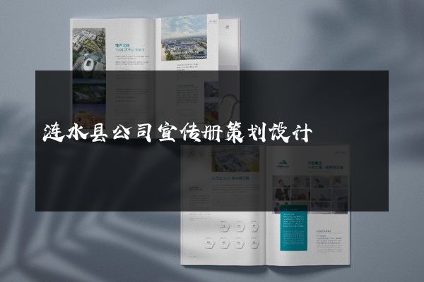 涟水县公司宣传册策划设计
