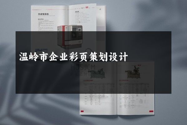 温岭市企业彩页策划设计
